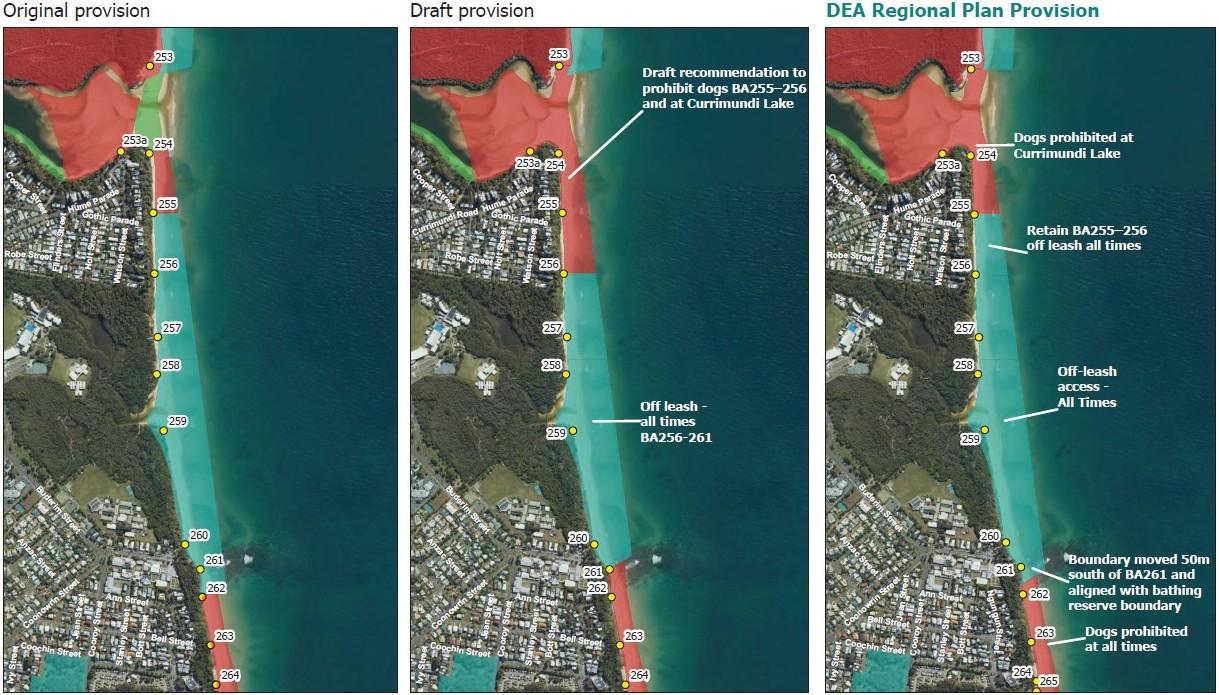 Councillors to vote on dog exercise areas after amendments made to draft plan