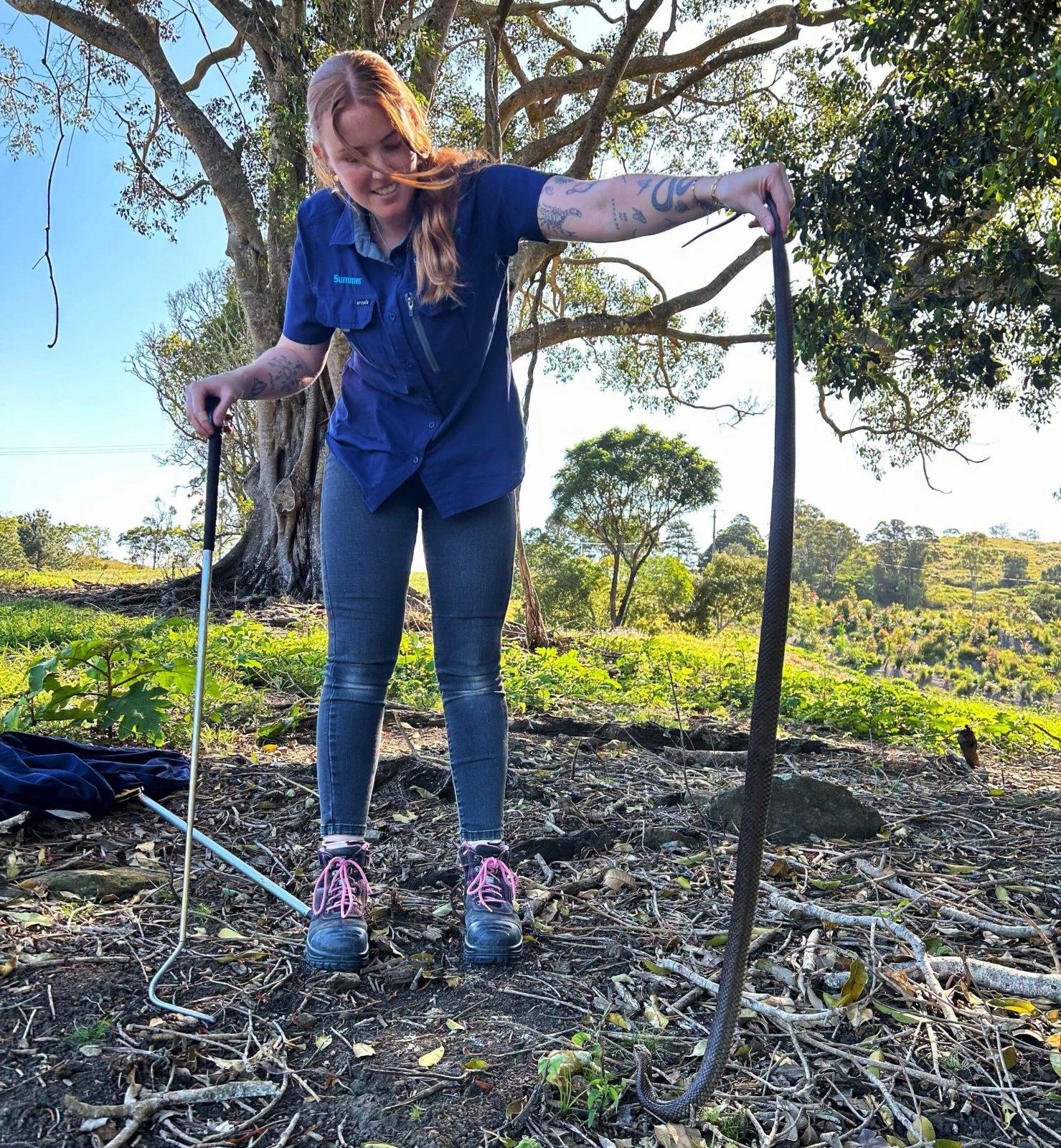 Snake season has arrived on the Sunshine Coast