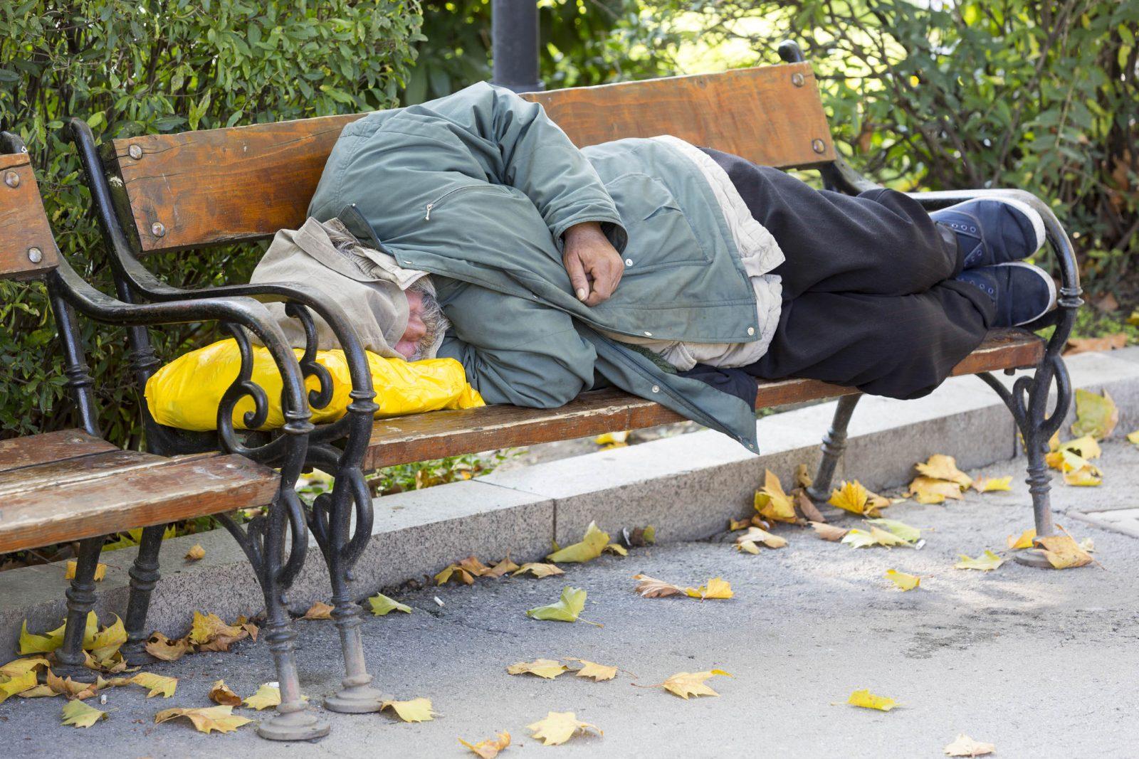 Could a designated camping site for people experiencing homelessness work on the Sunshine Coast?